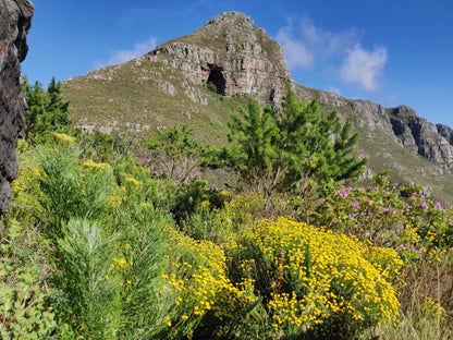  Elephant's Eye Cave