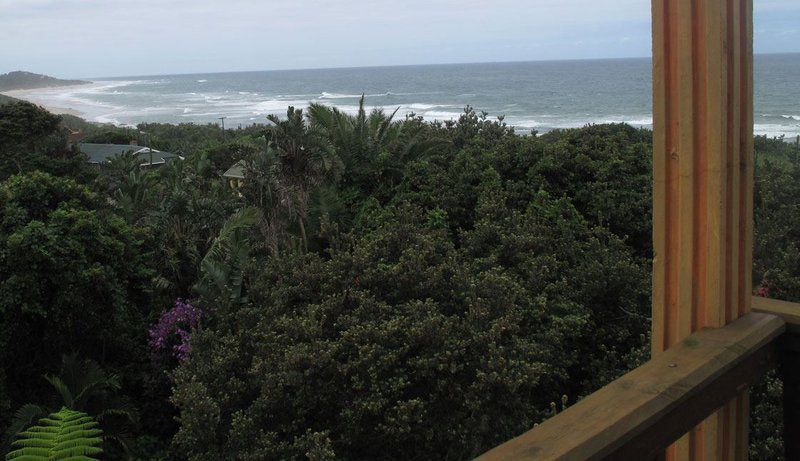 Elsea Palm Beach Kwazulu Natal South Africa Beach, Nature, Sand, Palm Tree, Plant, Wood