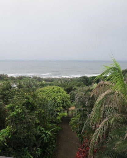 Elsea Palm Beach Kwazulu Natal South Africa Beach, Nature, Sand, Palm Tree, Plant, Wood, Garden