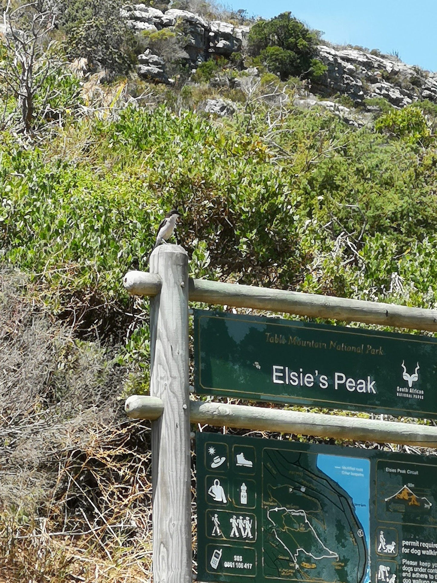  Elsie's Peak