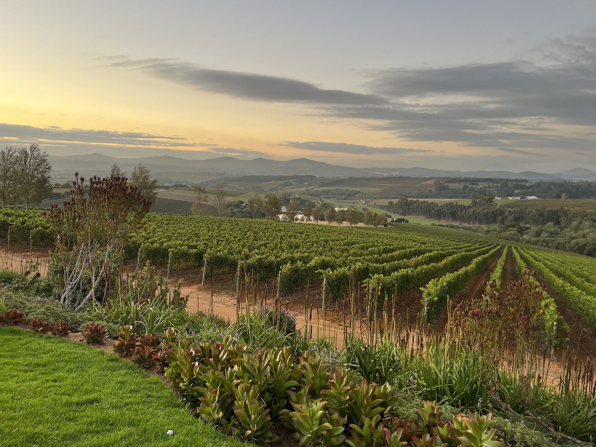  Ernie Els Wines