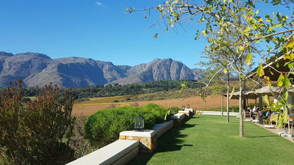  Ernie Els Wines