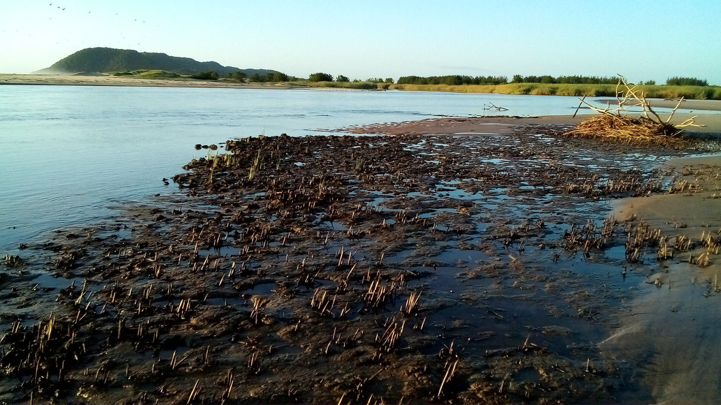  Estuary boardwalk