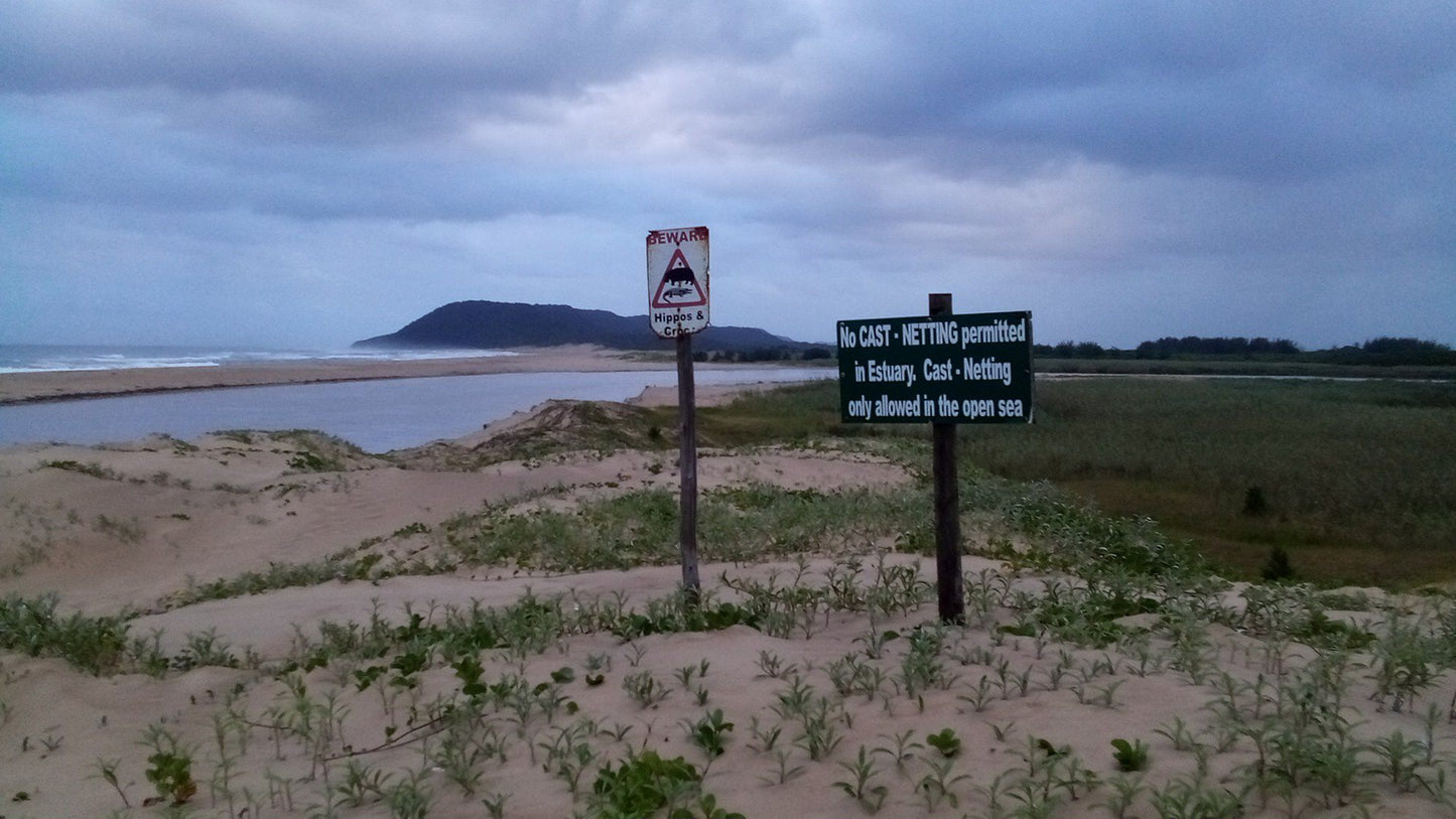  Estuary boardwalk