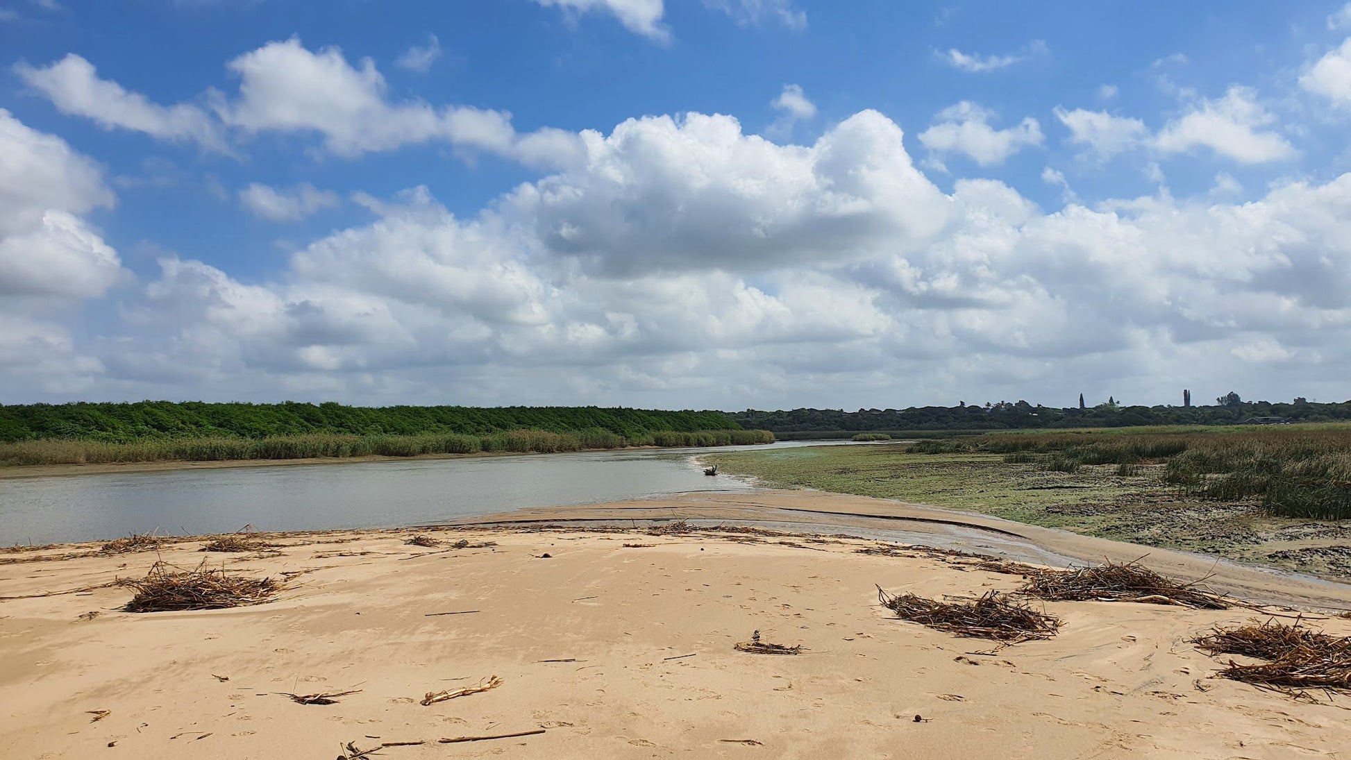  Estuary boardwalk