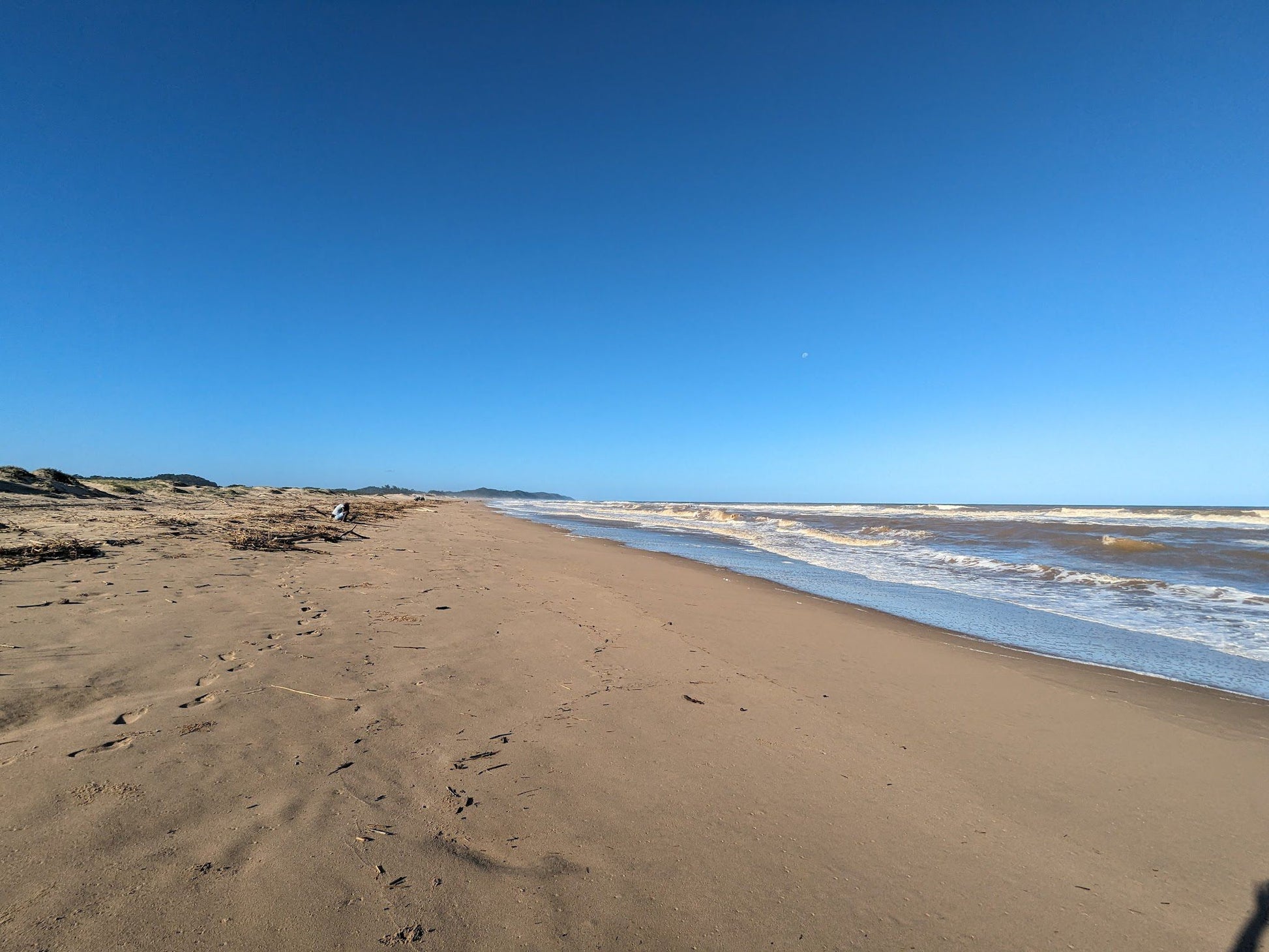  Estuary boardwalk