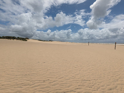  Estuary boardwalk