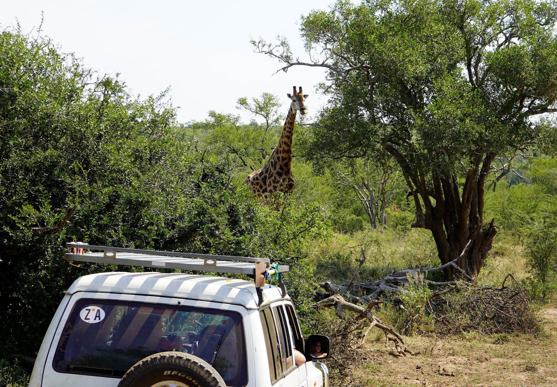  Eurozulu Guided Tours & Safaris