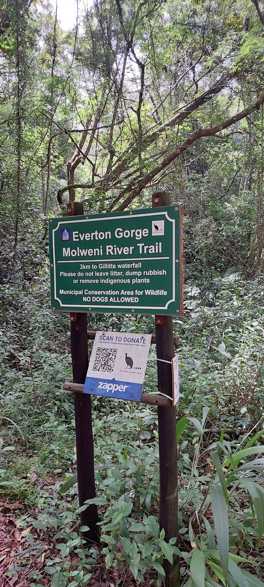  Everton Conservancy Molweni River