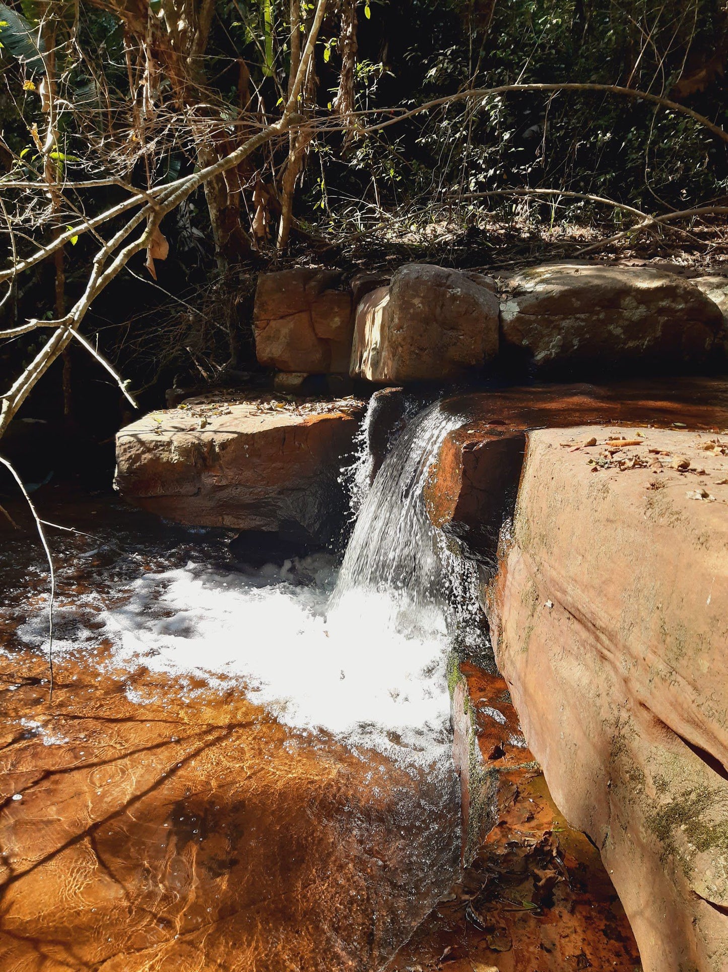  Everton Conservancy Molweni River