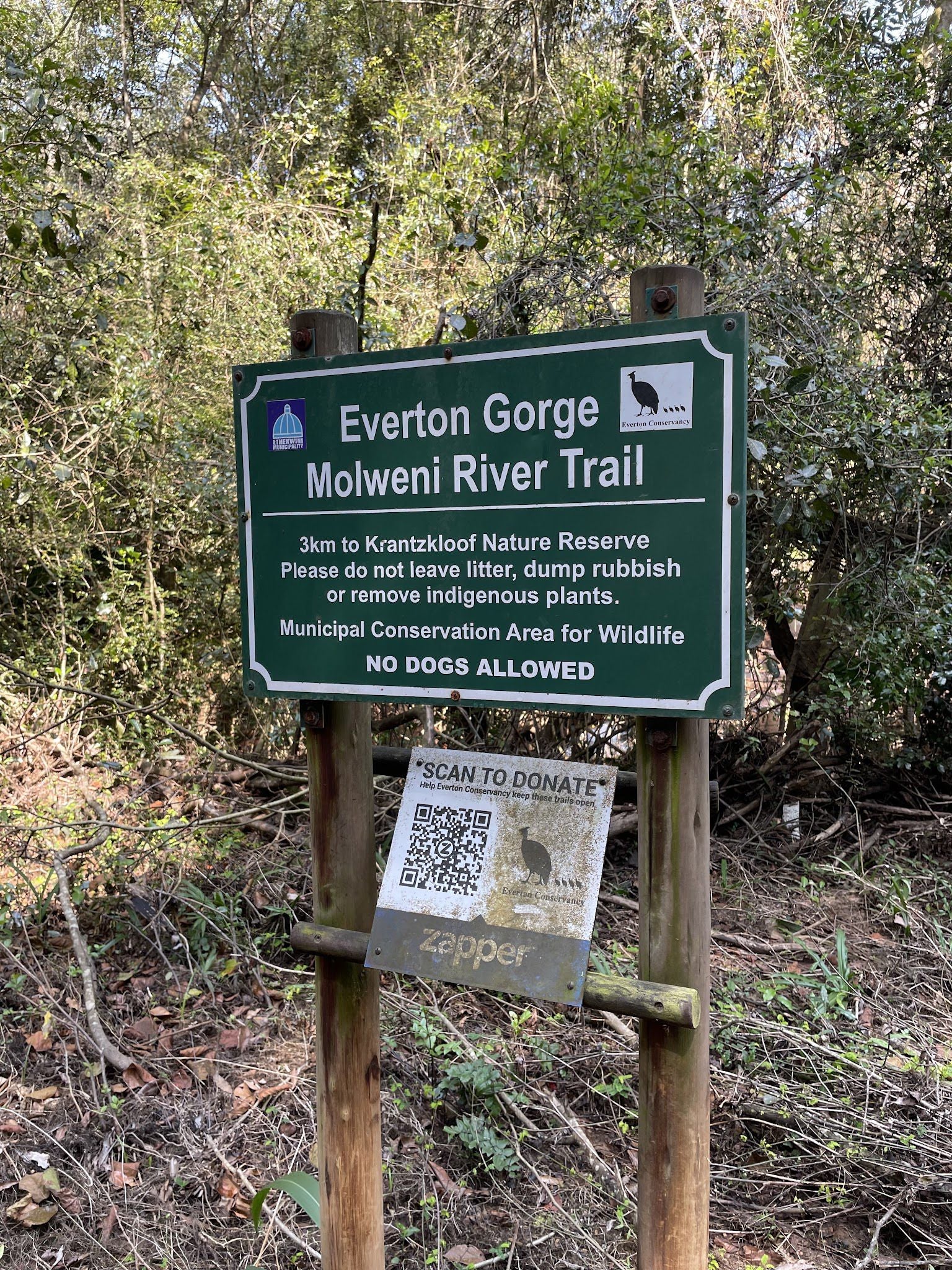  Everton Conservancy Molweni River