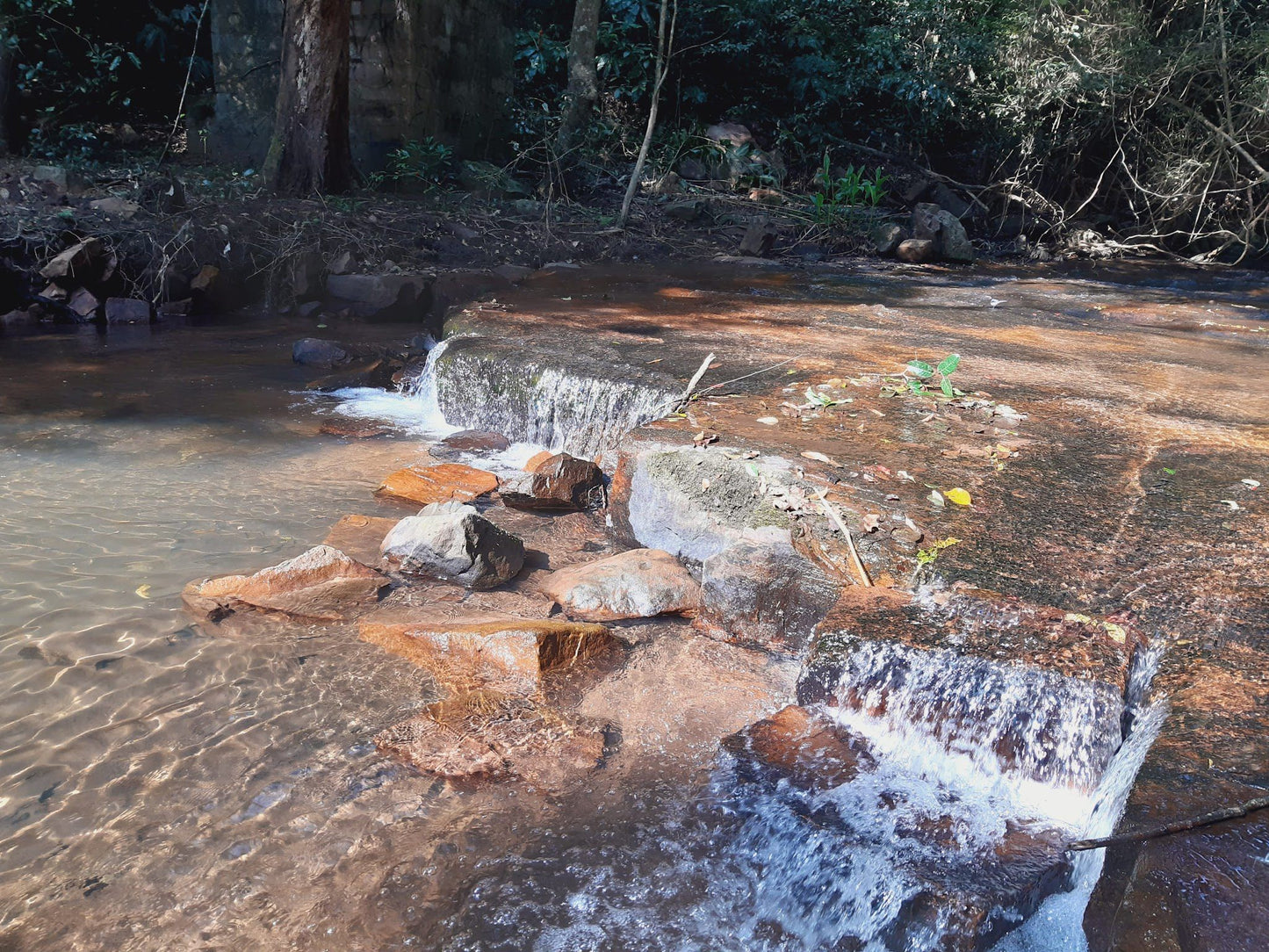  Everton Conservancy Molweni River