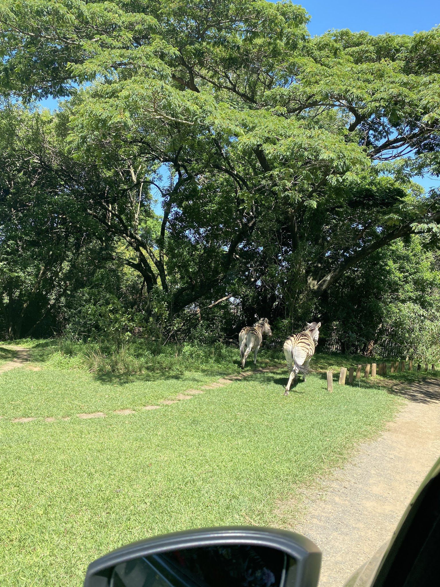  Ezemvelo KZN Wildlife