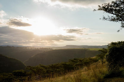  Ezemvelo Nature Reserve