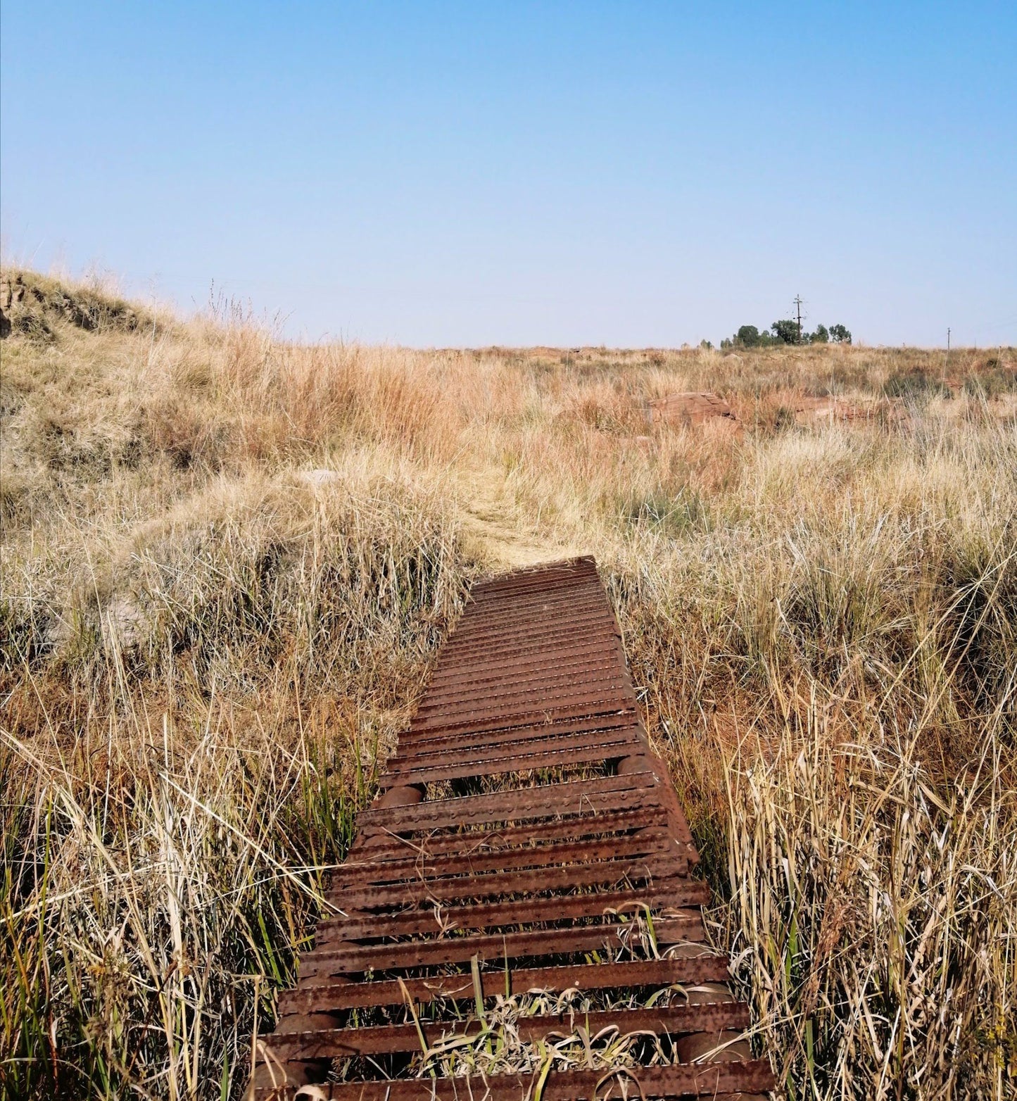  Ezemvelo Nature Reserve