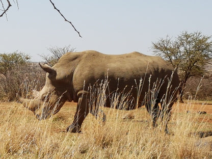  Faan Meintjes Nature Reserve