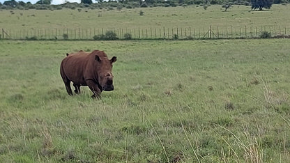  Faan Meintjes Nature Reserve