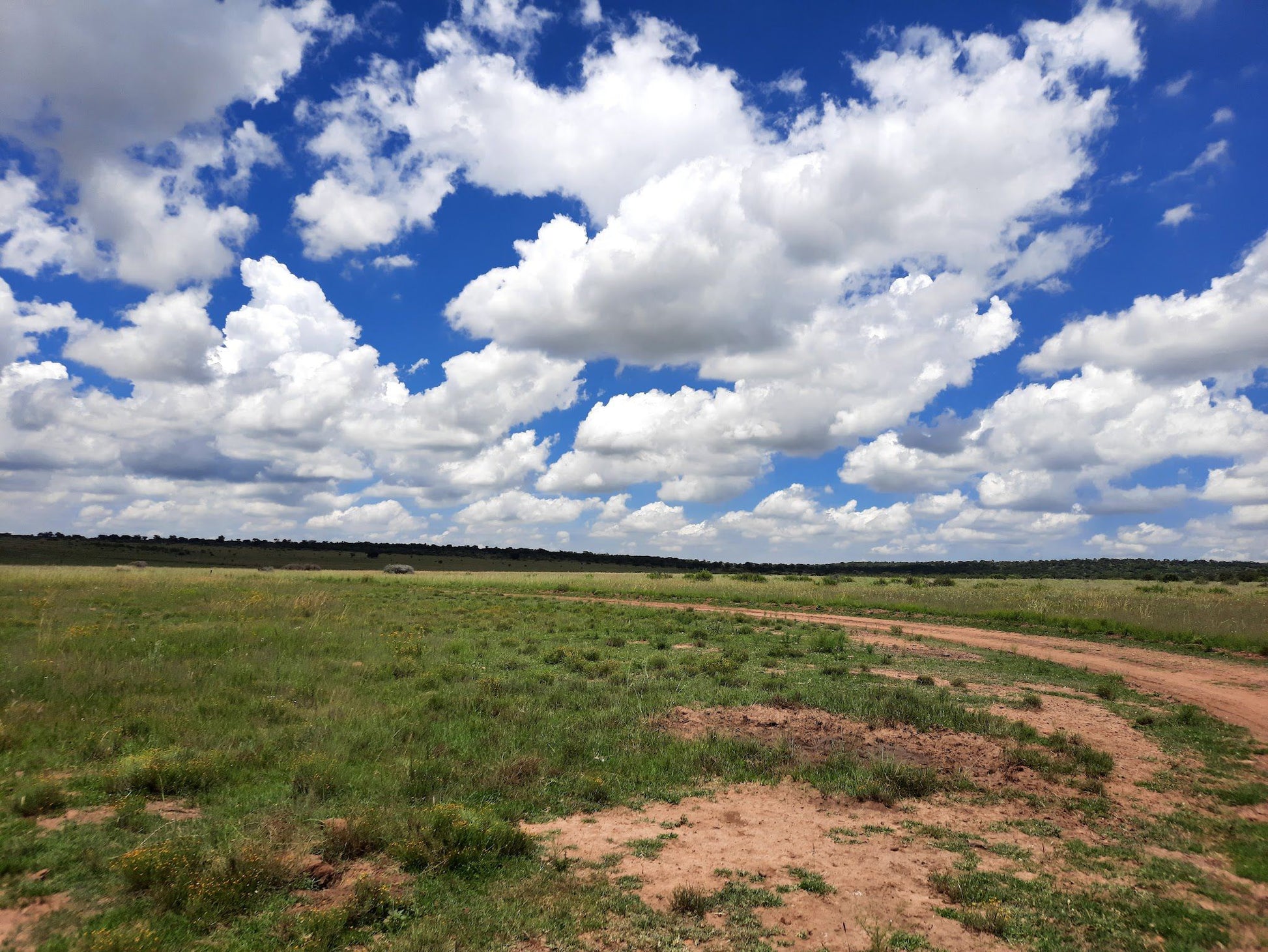  Faan Meintjes Nature Reserve