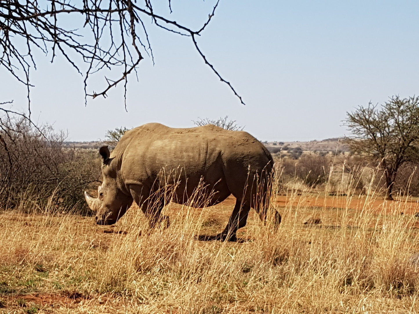  Faan Meintjes Nature Reserve