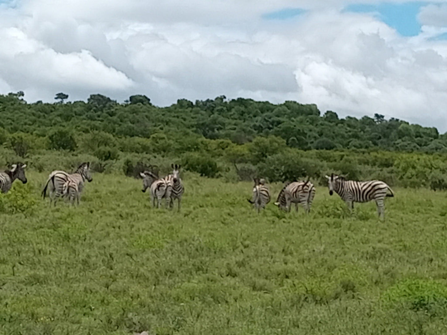  Faan Meintjes Nature Reserve