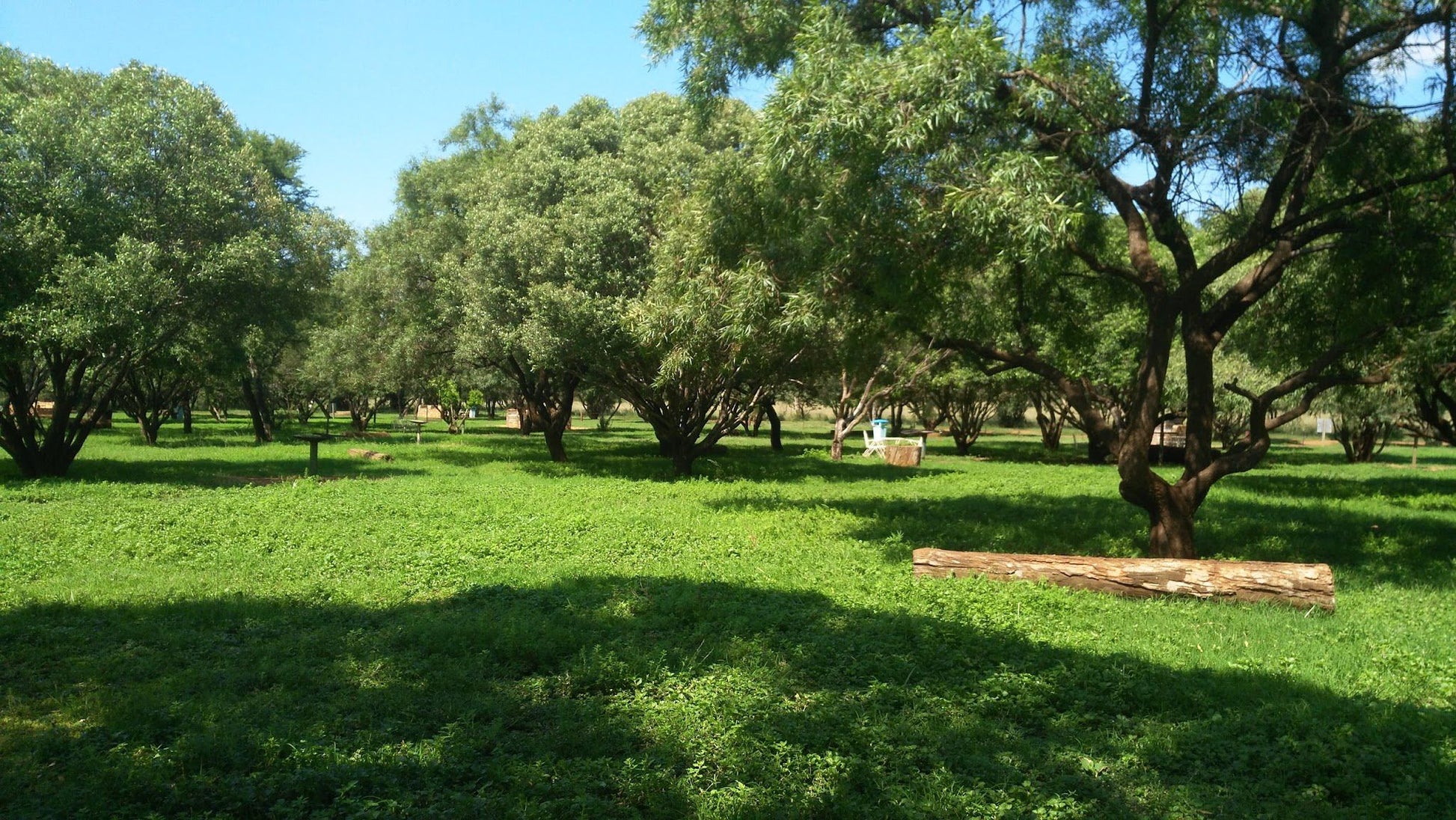  Faan Meintjes Nature Reserve