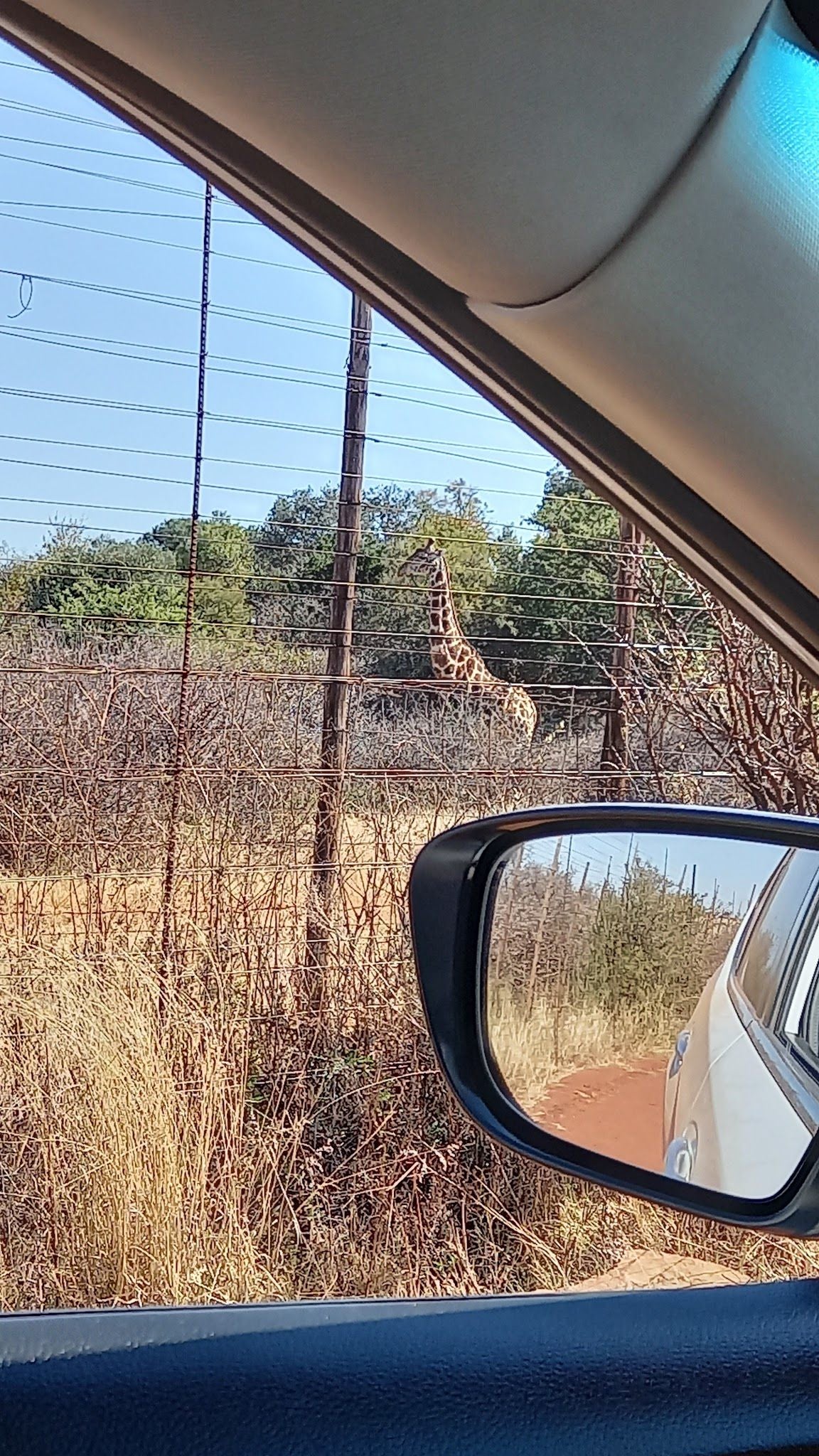  Faan Meintjes Nature Reserve