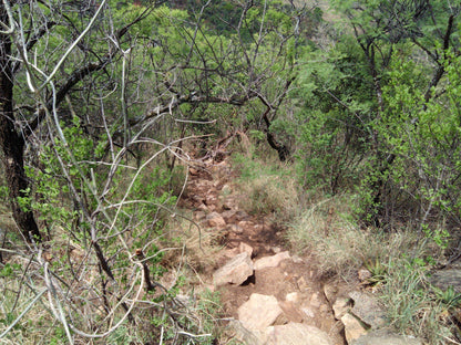  Faerie Glen Nature Reserve