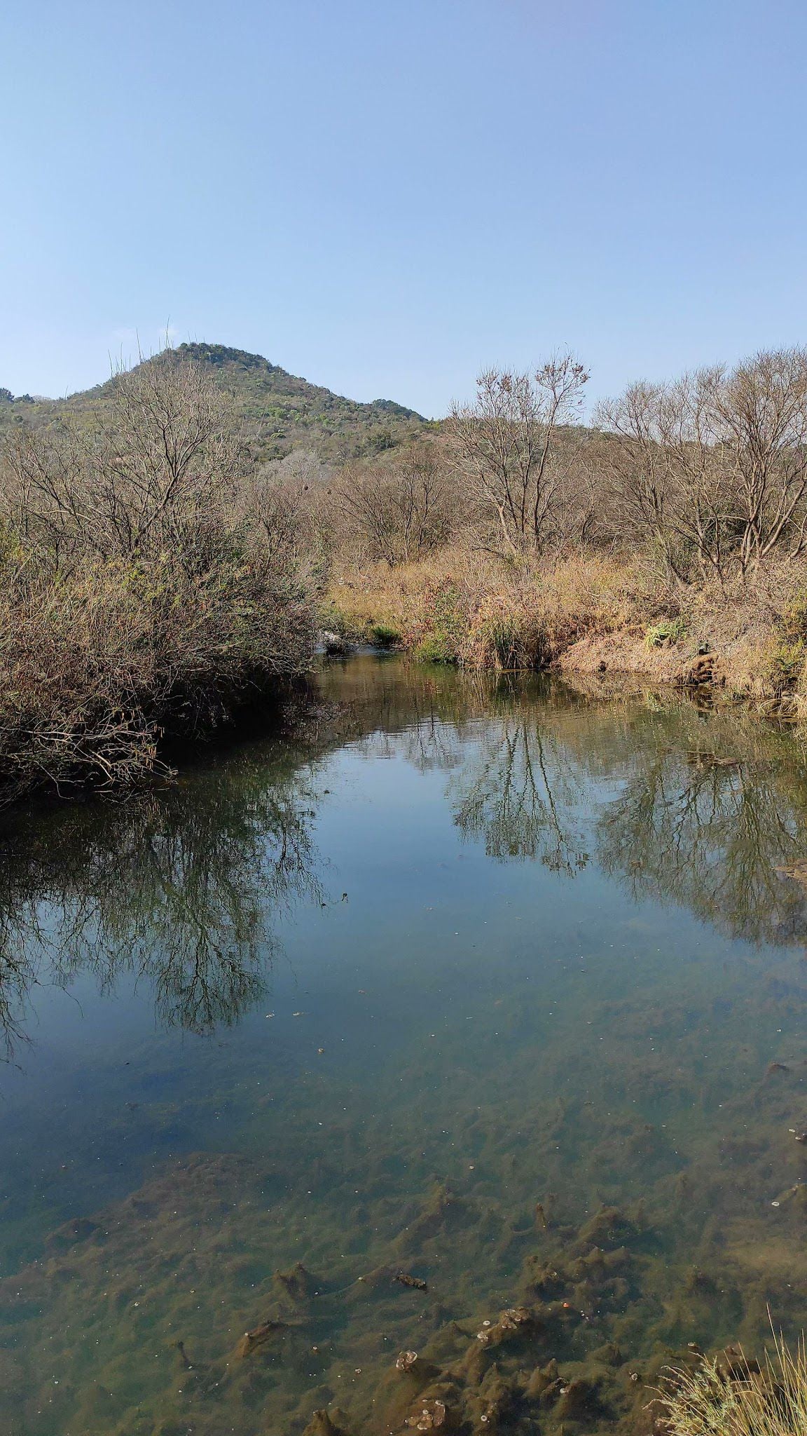  Faerie Glen Nature Reserve