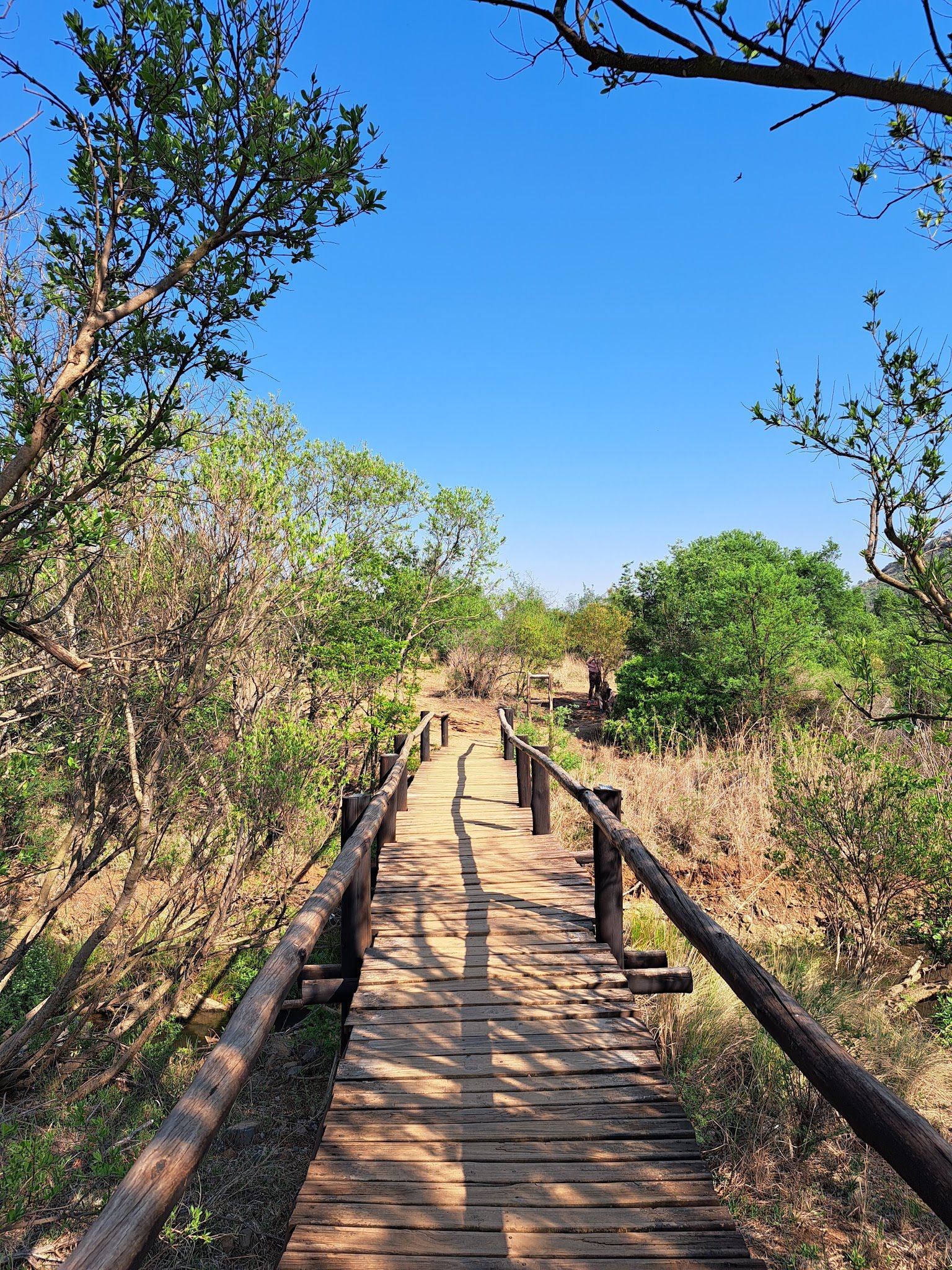  Faerie Glen Nature Reserve