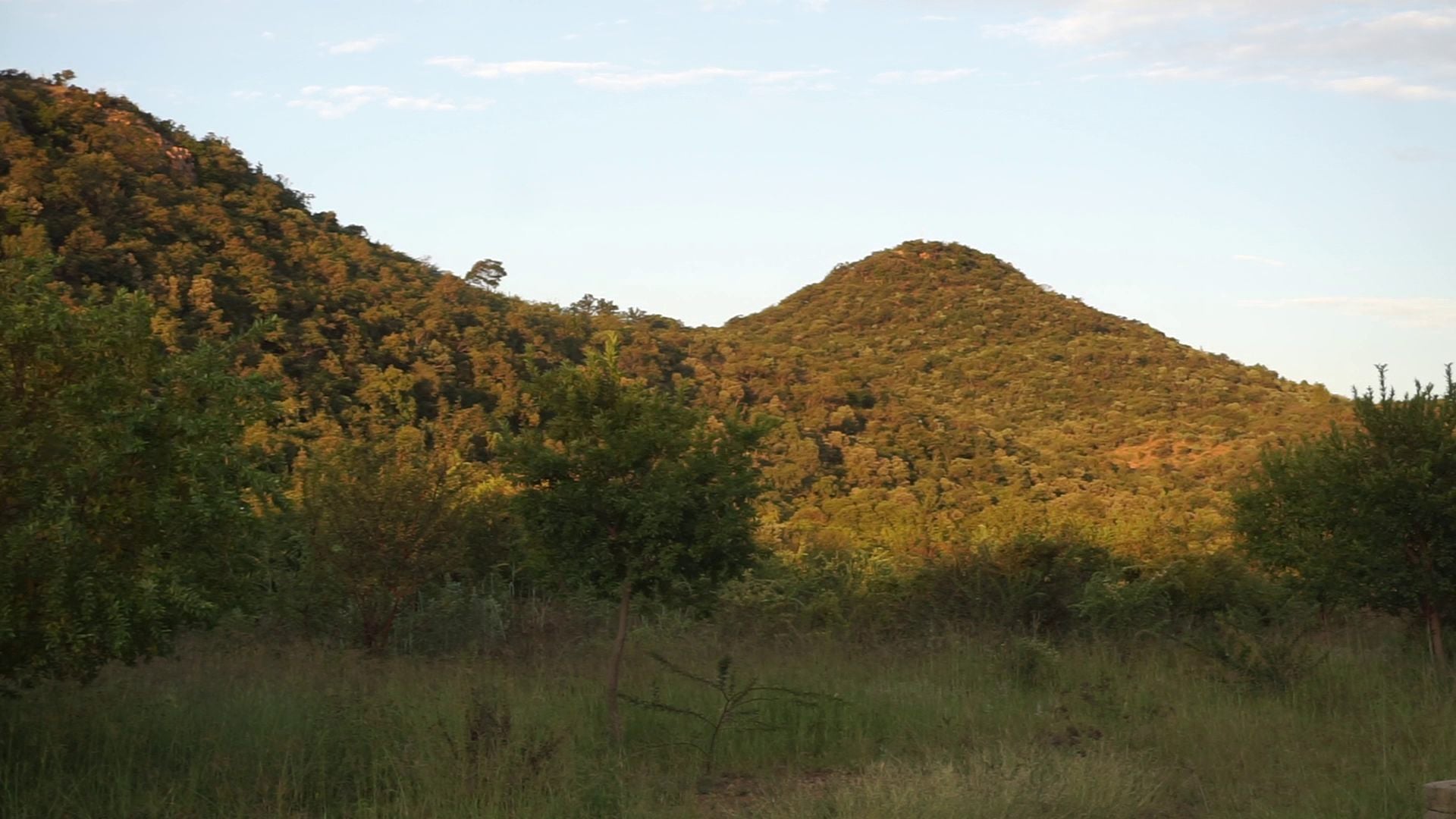  Faerie Glen Nature Reserve