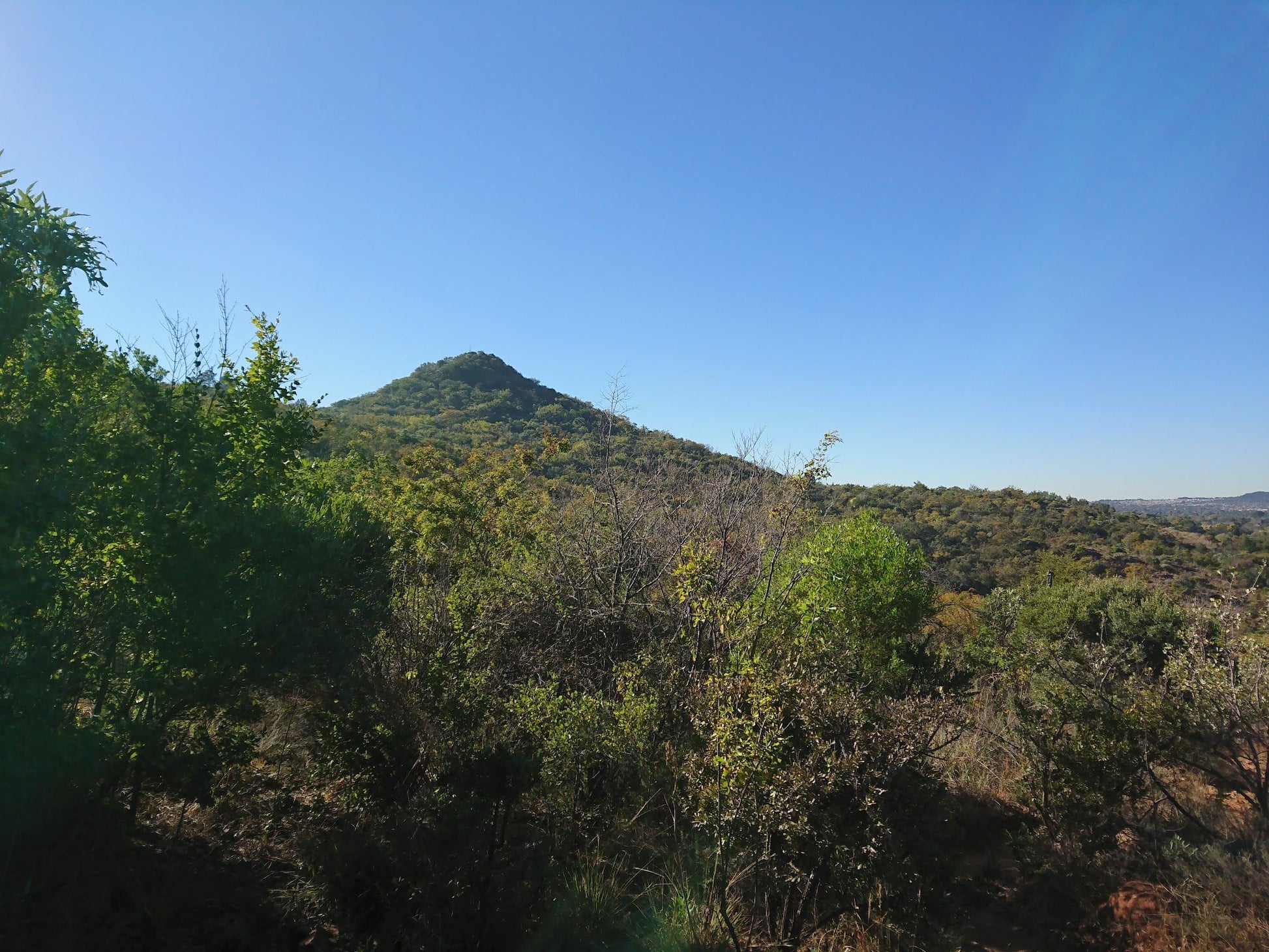  Faerie Glen Nature Reserve