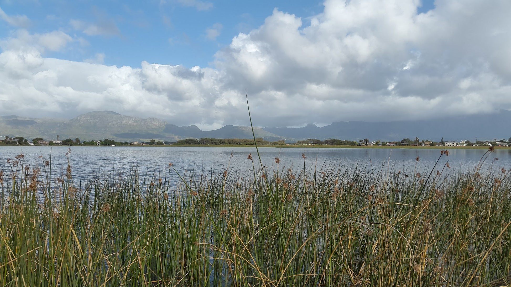  False Bay Nature Reserve - Rondevlei Bird Sanctuary