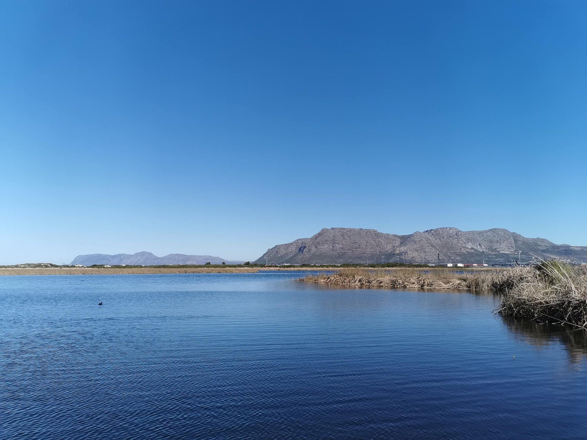  False Bay Nature Reserve - Rondevlei Bird Sanctuary