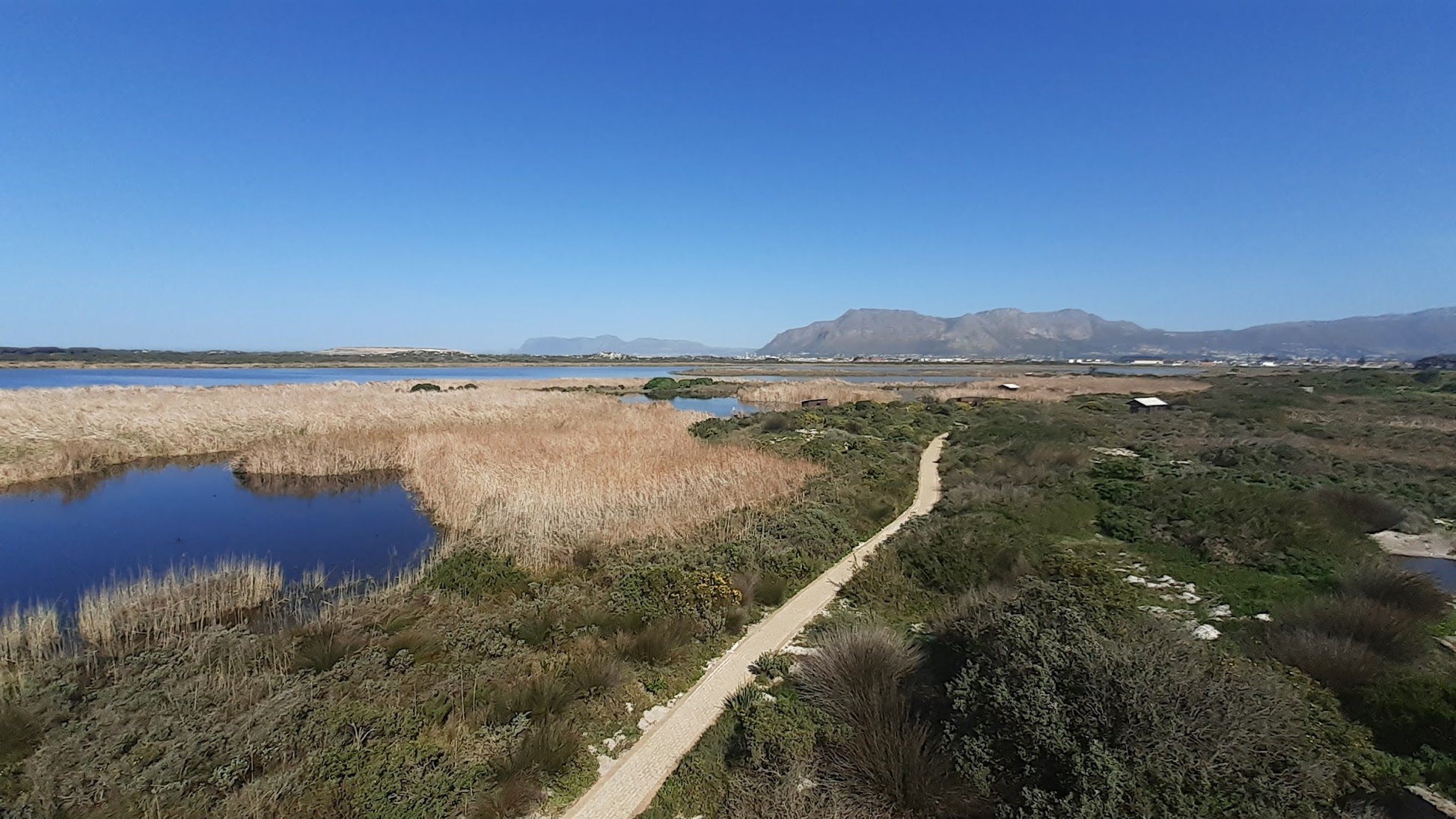  False Bay Nature Reserve - Rondevlei Bird Sanctuary