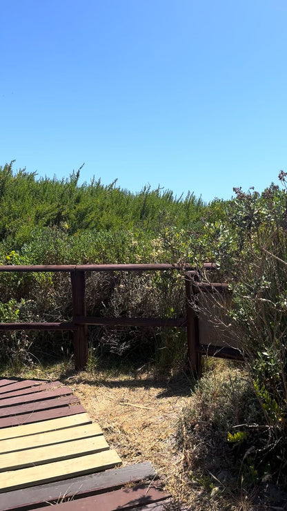  False Bay Nature Reserve - Rondevlei Bird Sanctuary