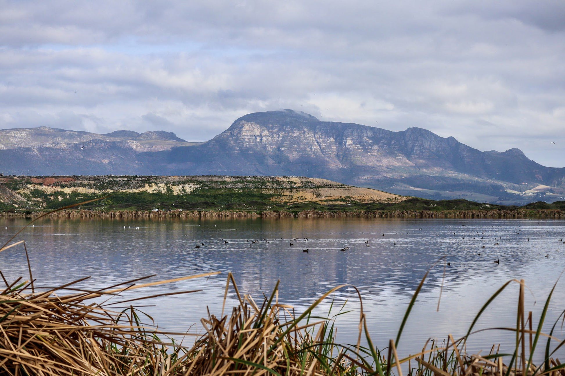  False Bay Nature Reserve - Rondevlei Bird Sanctuary