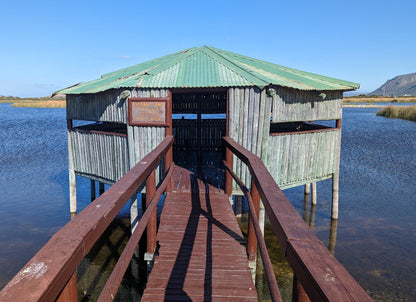  False Bay Nature Reserve - Rondevlei Bird Sanctuary