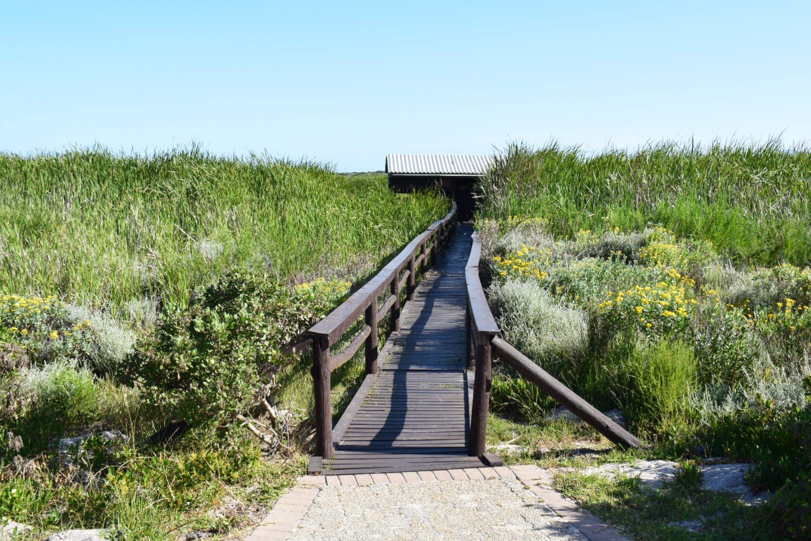  False Bay Nature Reserve - Rondevlei Bird Sanctuary