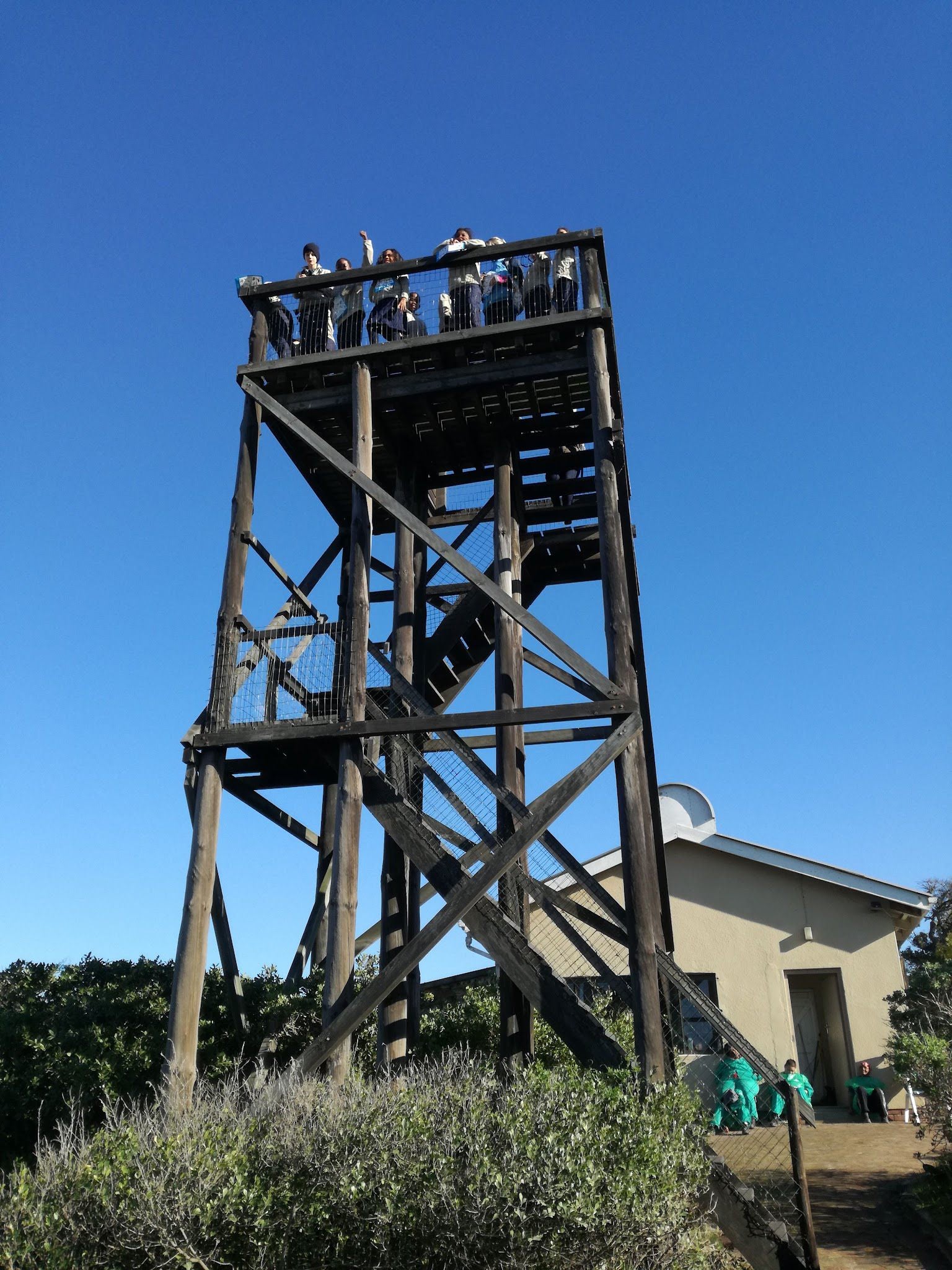  False Bay Nature Reserve - Rondevlei Bird Sanctuary