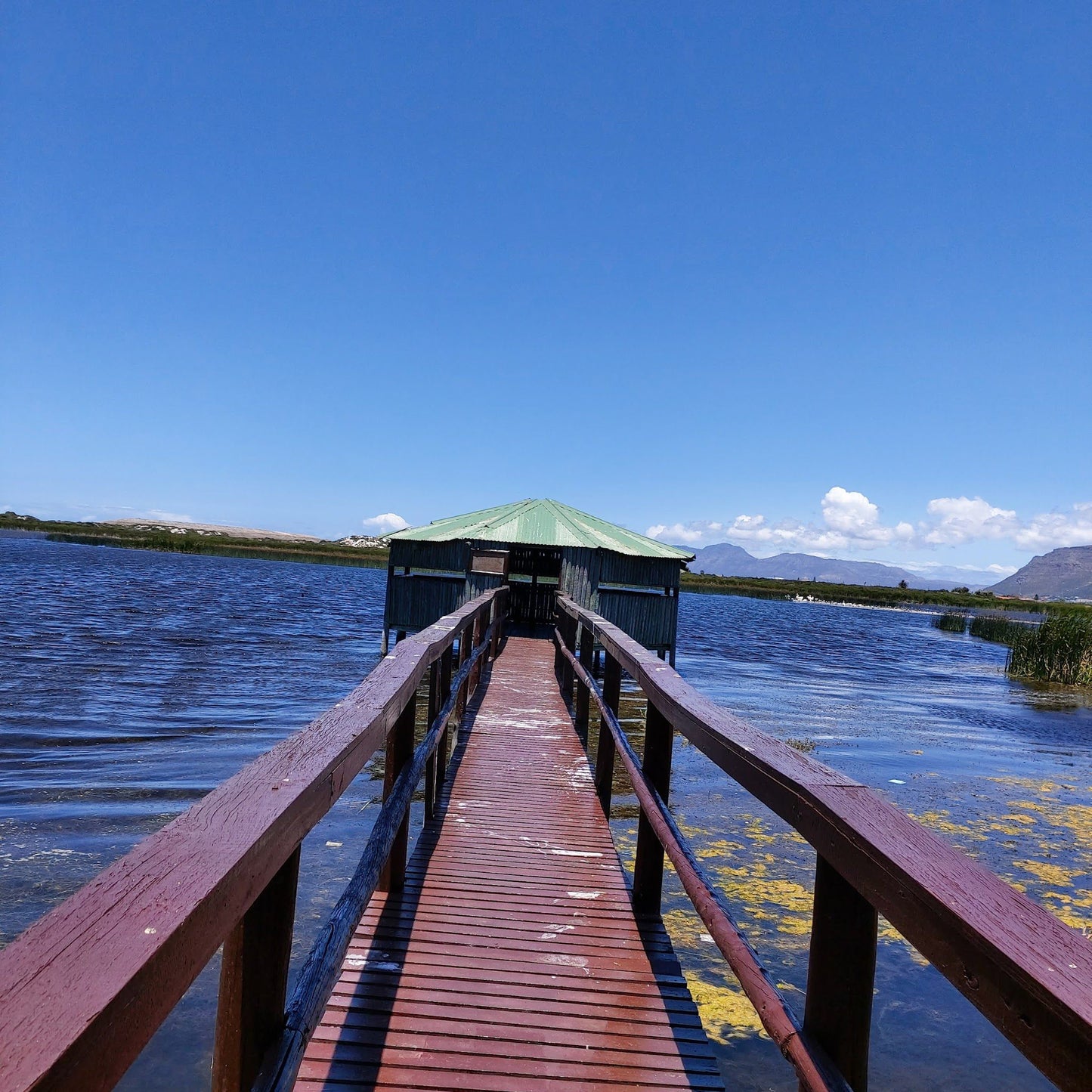  False Bay Nature Reserve - Rondevlei Bird Sanctuary