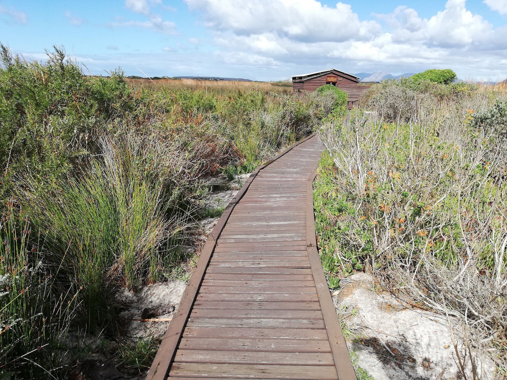  False Bay Nature Reserve - Rondevlei Bird Sanctuary