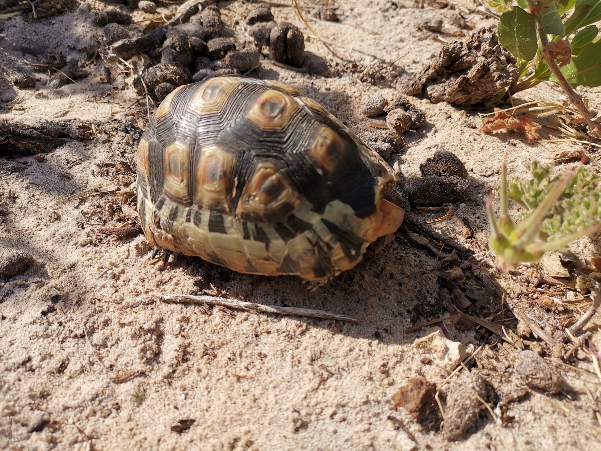  False Bay Nature Reserve - Rondevlei Bird Sanctuary