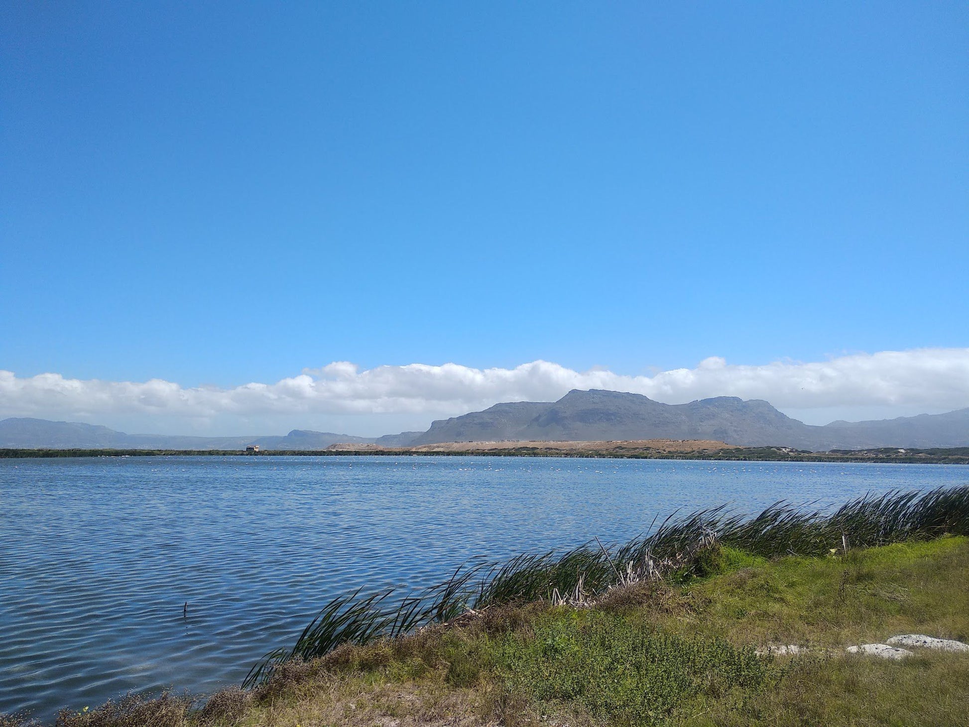  False Bay Nature Reserve - Rondevlei Bird Sanctuary