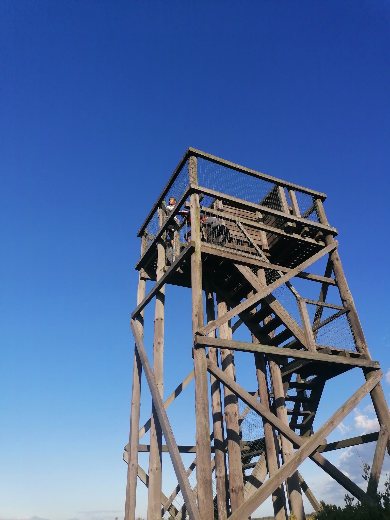  False Bay Nature Reserve - Rondevlei Bird Sanctuary