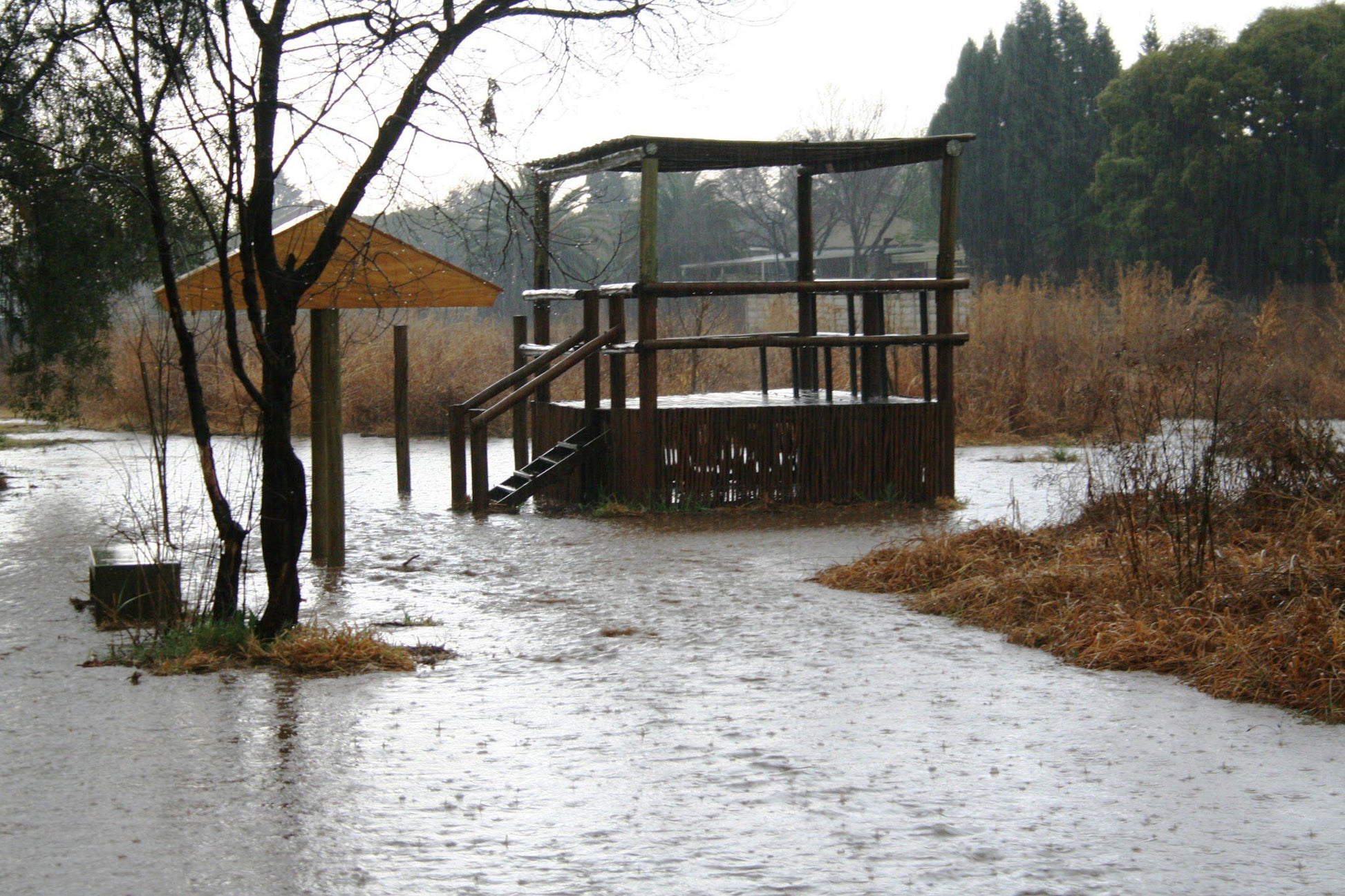  FoDS Bird Hide