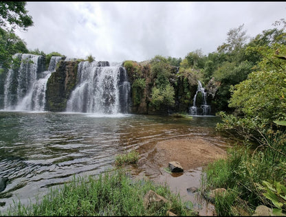 Forest Falls Hiking Trail