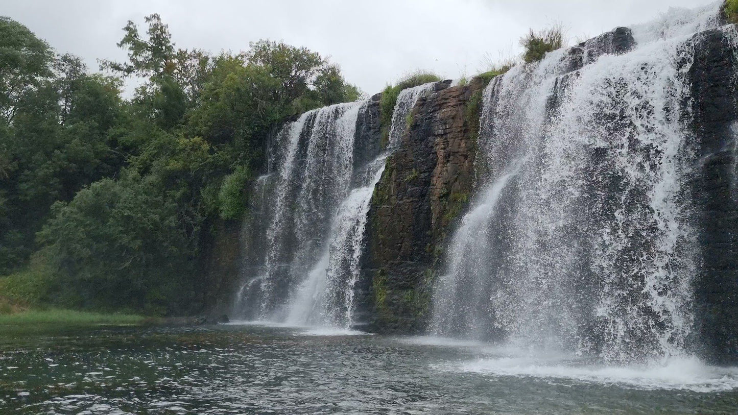 Forest Falls Hiking Trail