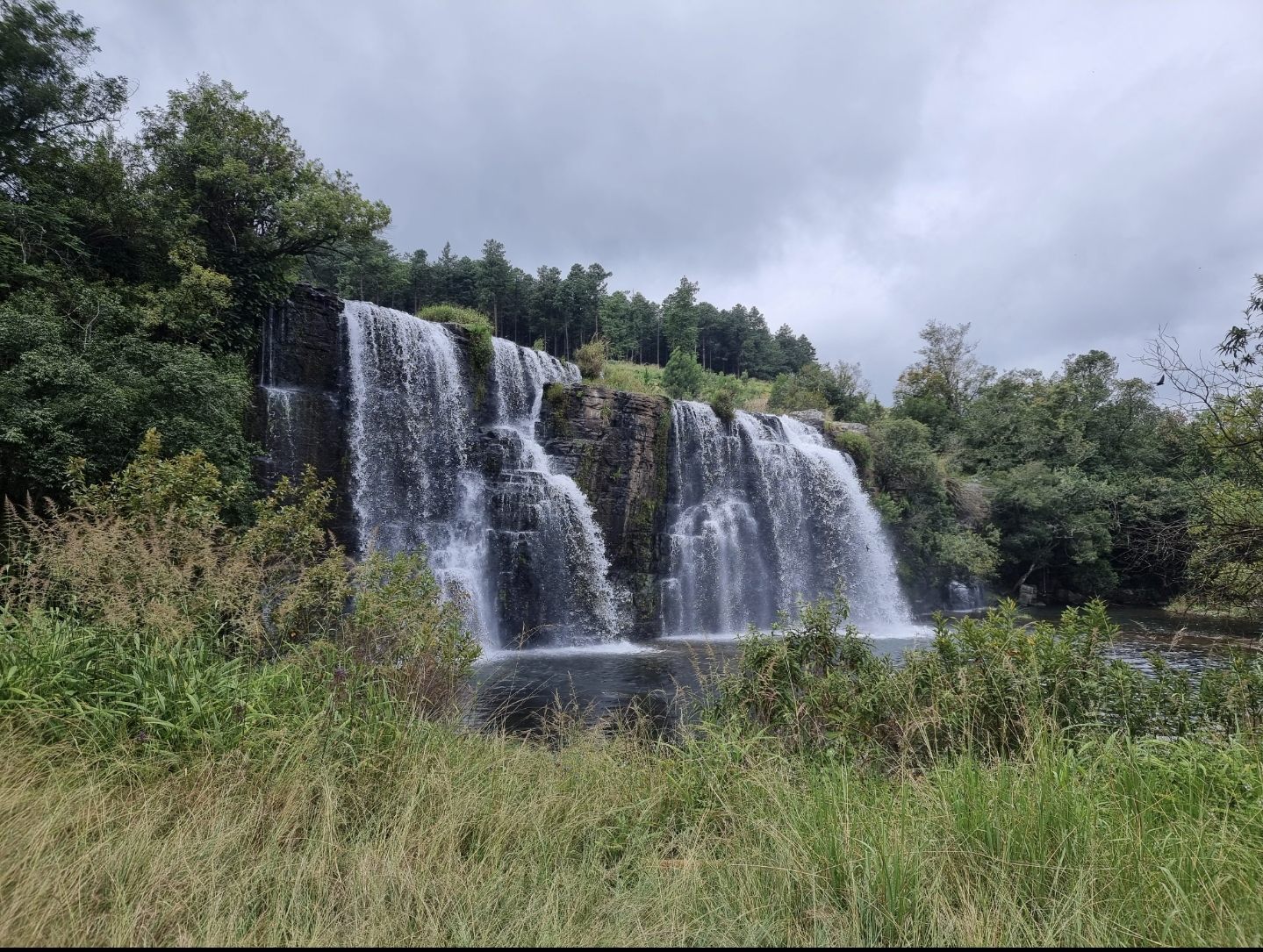 Forest Falls Hiking Trail