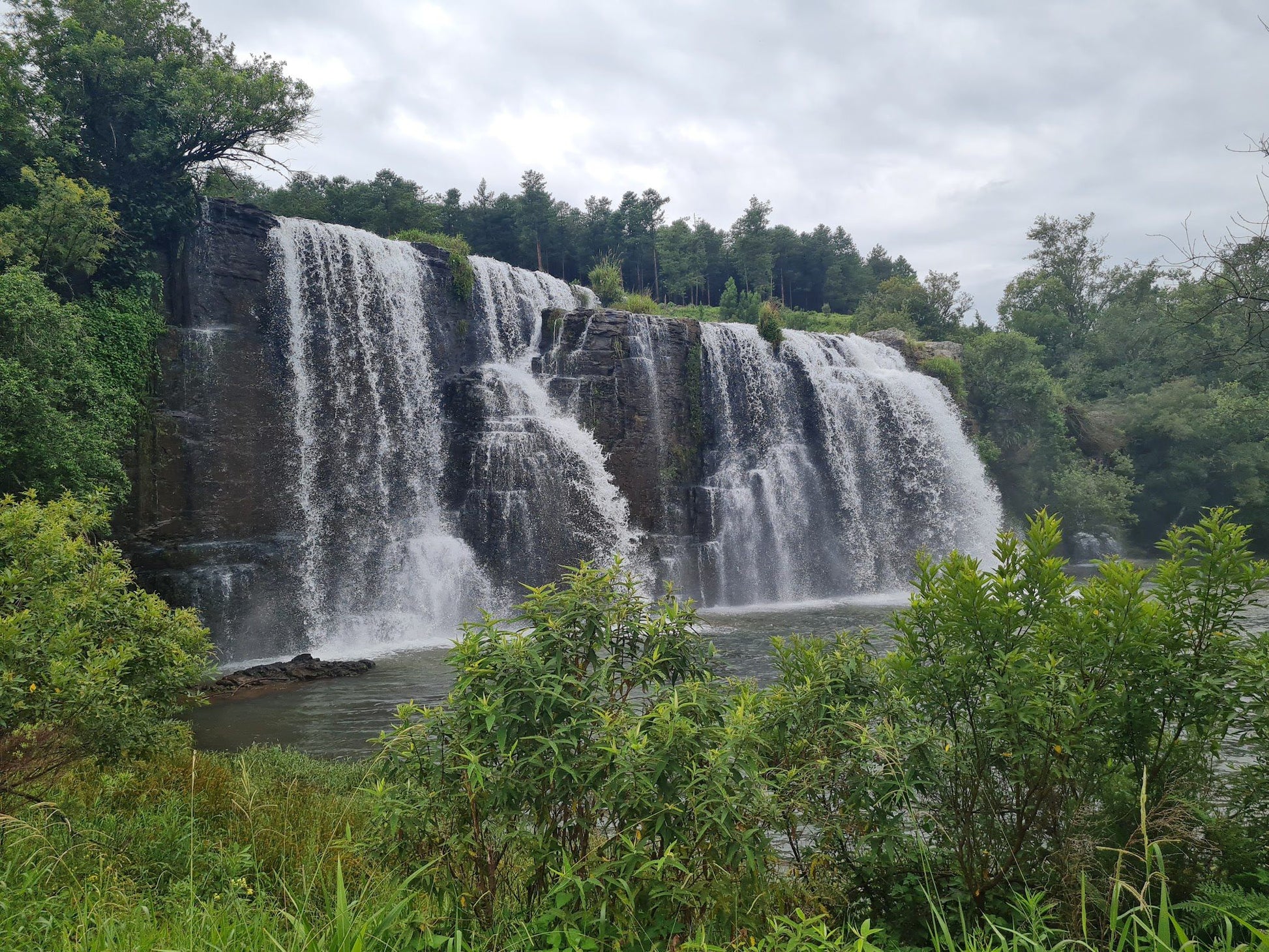  Forest Falls