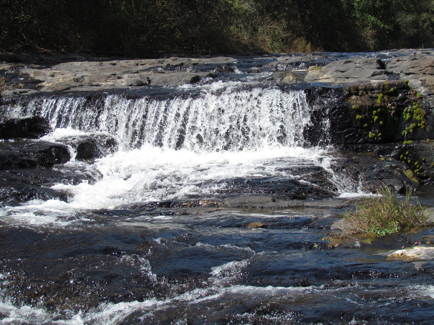  Forest Falls